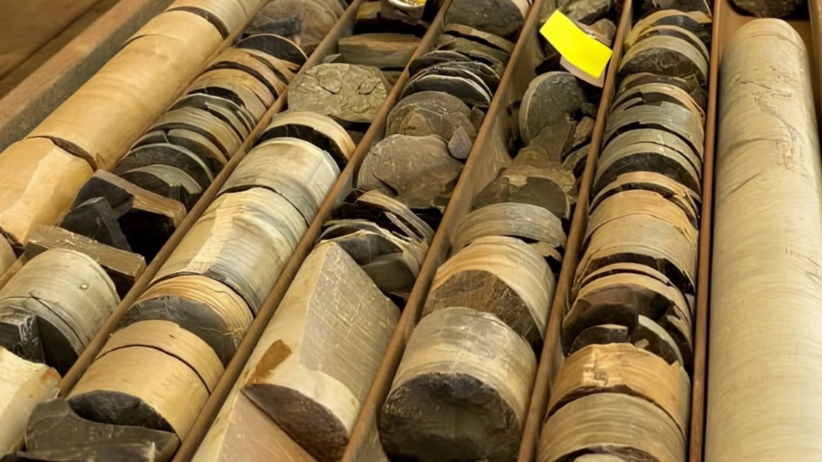 Unlocking Evolutionary History from Industrial Drill Cores