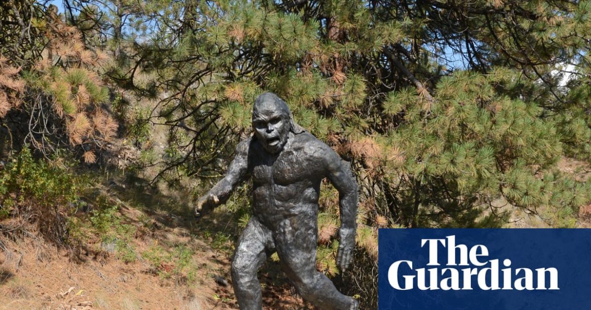 Why These Sightings Stand Out in a Region Unlikely for Bigfoot
