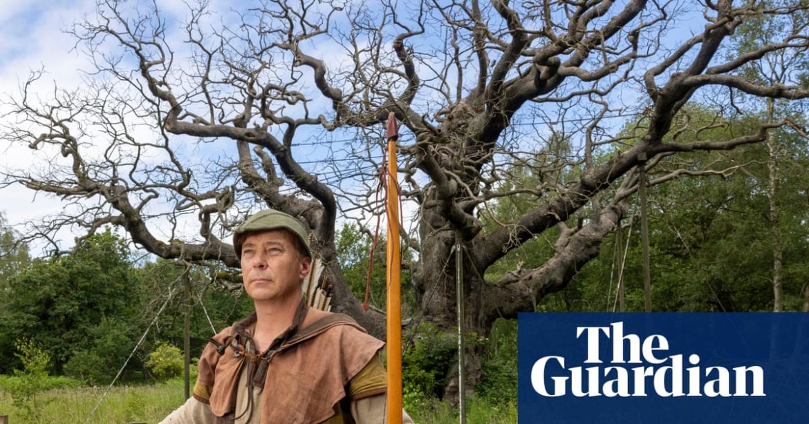 How the Tree Died: A 1,200-Year Legacy Collapses