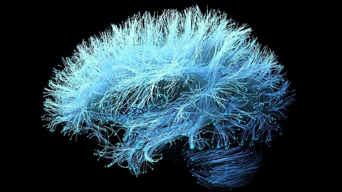 The Glucosamine Paradox: How a Joint Pain Remedy May Worsen Alzheimer’s