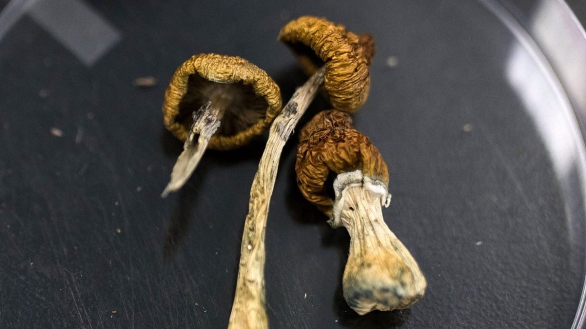 Clinical Observations Following Psilocybin Administration