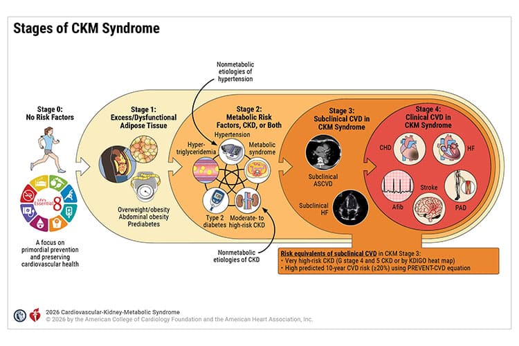 CKM Syndrome: A Unified Framework for Interconnected Conditions